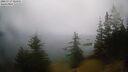 ./images/quadra/bluff/20260717/bluff20260717_080001M.jpg
