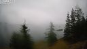 ./images/quadra/bluff/20260717/bluff20260717_084001M.jpg