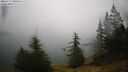 ./images/quadra/bluff/20260717/bluff20260717_085501M.jpg