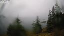 ./images/quadra/bluff/20260717/bluff20260717_091501M.jpg