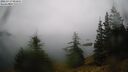 ./images/quadra/bluff/20260717/bluff20260717_092001M.jpg