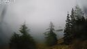 ./images/quadra/bluff/20260717/bluff20260717_093001M.jpg