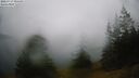 ./images/quadra/bluff/20260717/bluff20260717_095502M.jpg