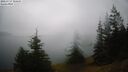 ./images/quadra/bluff/20260717/bluff20260717_102501M.jpg