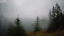 ./images/quadra/bluff/20260717/bluff20260717_103001M.jpg