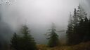 ./images/quadra/bluff/20260717/bluff20260717_103501M.jpg