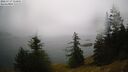 ./images/quadra/bluff/20260717/bluff20260717_111001M.jpg