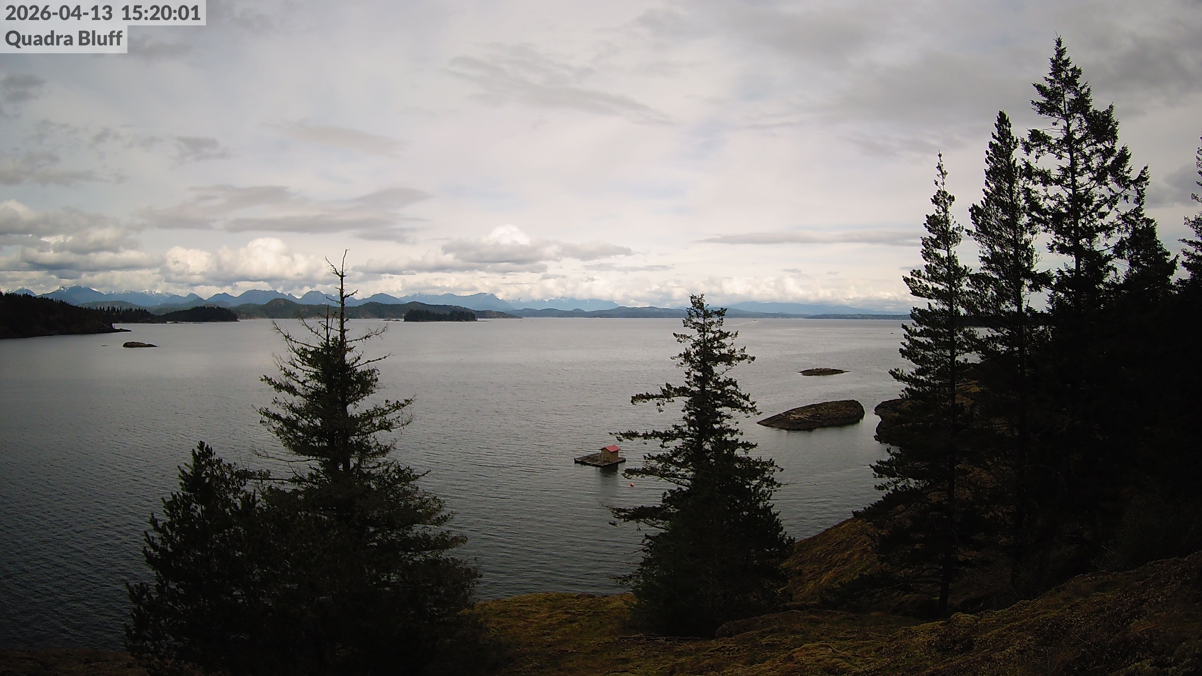 Quadra Island Bluff