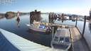 ./images/quadra/hbidock/20180508/hbidock20180508_081000M.jpg