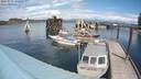 ./images/quadra/hbidock/20180509/hbidock20180509_131500M.jpg