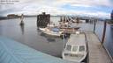./images/quadra/hbidock/20180509/hbidock20180509_135500M.jpg