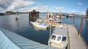 ./images/quadra/hbidock/20180510/hbidock20180510_154500M.jpg