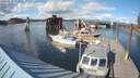 ./images/quadra/hbidock/20180510/hbidock20180510_172500M.jpg