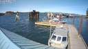./images/quadra/hbidock/20180511/hbidock20180511_160000M.jpg