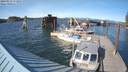 ./images/quadra/hbidock/20180511/hbidock20180511_172500M.jpg