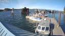 ./images/quadra/hbidock/20180511/hbidock20180511_174500M.jpg