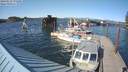 ./images/quadra/hbidock/20180512/hbidock20180512_171000M.jpg