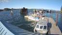 ./images/quadra/hbidock/20180512/hbidock20180512_174500M.jpg