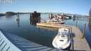 ./images/quadra/hbidock/20180514/hbidock20180514_174500M.jpg