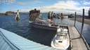 ./images/quadra/hbidock/20180529/hbidock20180529_095000M.jpg