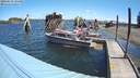 ./images/quadra/hbidock/20180615/hbidock20180615_111500M.jpg