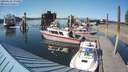 ./images/quadra/hbidock/20180618/hbidock20180618_172000M.jpg