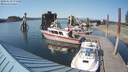./images/quadra/hbidock/20180619/hbidock20180619_172500M.jpg