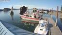 ./images/quadra/hbidock/20180620/hbidock20180620_182000M.jpg