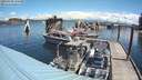 ./images/quadra/hbidock/20180706/hbidock20180706_115000M.jpg