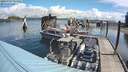 ./images/quadra/hbidock/20180707/hbidock20180707_111500M.jpg