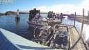 ./images/quadra/hbidock/20180708/hbidock20180708_071000M.jpg