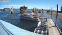 ./images/quadra/hbidock/20180713/hbidock20180713_095500M.jpg