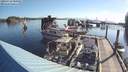 ./images/quadra/hbidock/20180714/hbidock20180714_080500M.jpg