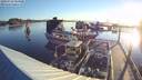./images/quadra/hbidock/20180716/hbidock20180716_063000M.jpg