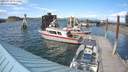 ./images/quadra/hbidock/20180719/hbidock20180719_171500M.jpg