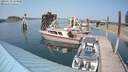 ./images/quadra/hbidock/20180729/hbidock20180729_153500M.jpg