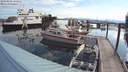 ./images/quadra/hbidock/20180803/hbidock20180803_083000M.jpg