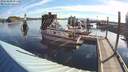 ./images/quadra/hbidock/20180805/hbidock20180805_075000M.jpg