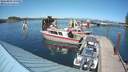./images/quadra/hbidock/20180807/hbidock20180807_155000M.jpg
