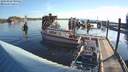 ./images/quadra/hbidock/20180810/hbidock20180810_080000M.jpg