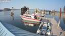 ./images/quadra/hbidock/20180815/hbidock20180815_171000M.jpg