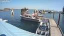 ./images/quadra/hbidock/20180818/hbidock20180818_115000M.jpg