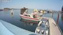 ./images/quadra/hbidock/20180818/hbidock20180818_143000M.jpg
