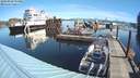 ./images/quadra/hbidock/20180928/hbidock20180928_103500M.jpg
