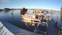 ./images/quadra/hbidock/20181004/hbidock20181004_174500M.jpg