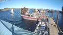 ./images/quadra/hbidock/20190204/hbidock20190204_115000M.jpg