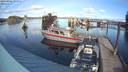 ./images/quadra/hbidock/20190206/hbidock20190206_134500M.jpg