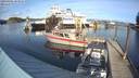 ./images/quadra/hbidock/20190206/hbidock20190206_143500M.jpg