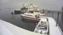 ./images/quadra/hbidock/20190210/hbidock20190210_125500M.jpg
