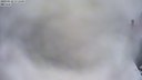./images/quadra/hbidock/20190210/hbidock20190210_171000M.jpg